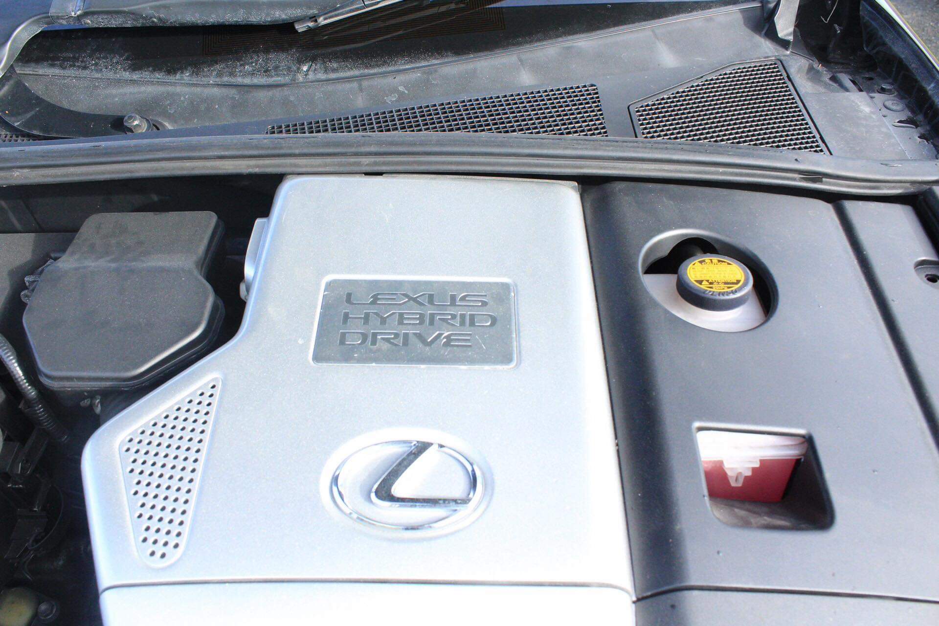 received_1256415437831388