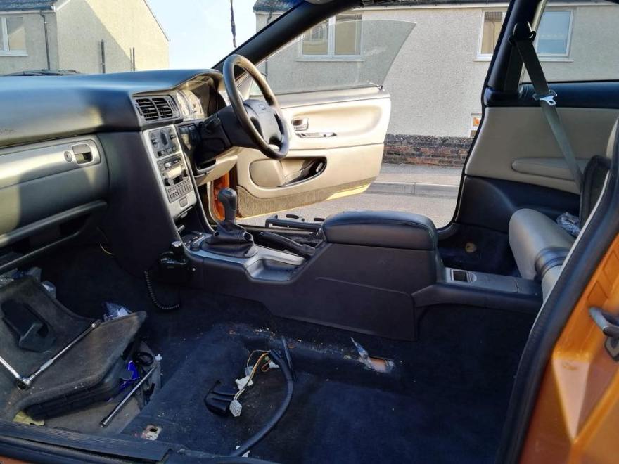 52609079_2036605679708784_8973706107629338624_n