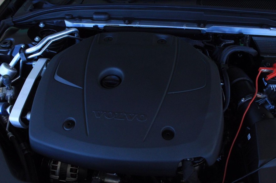 60362007_2143314845704533_7416710287358689280_n