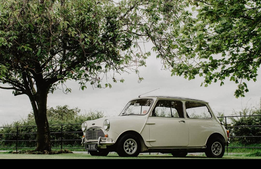 69376543_2198523073703453_8814588083392479232_o