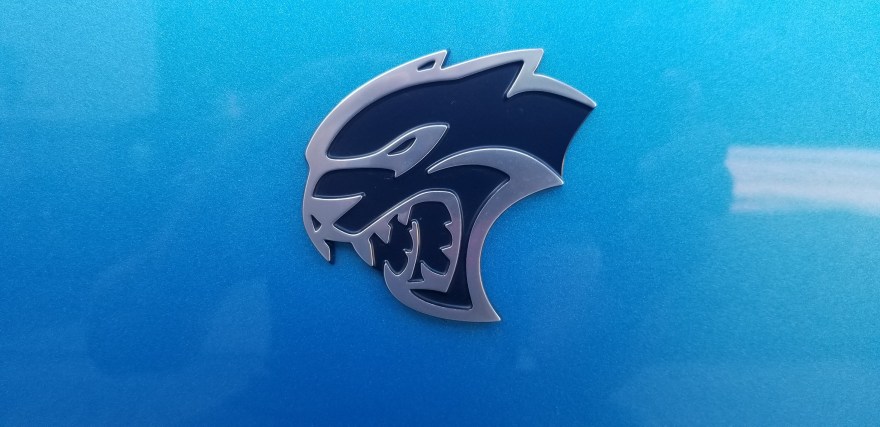 109056709_3604484872899692_1982898897813602826_o