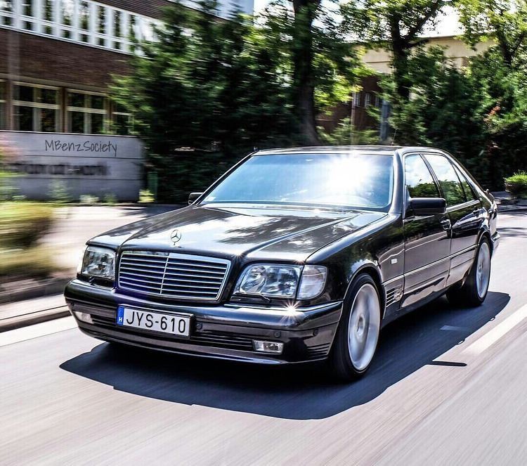 51096293907_cd0778d287_c